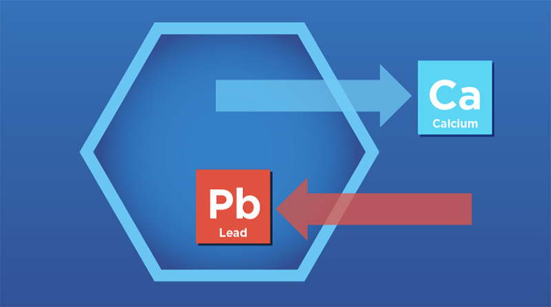 how zeolites work 4371xq4t Illustration of a zeolite taking a toxin and giving a nutrient.
